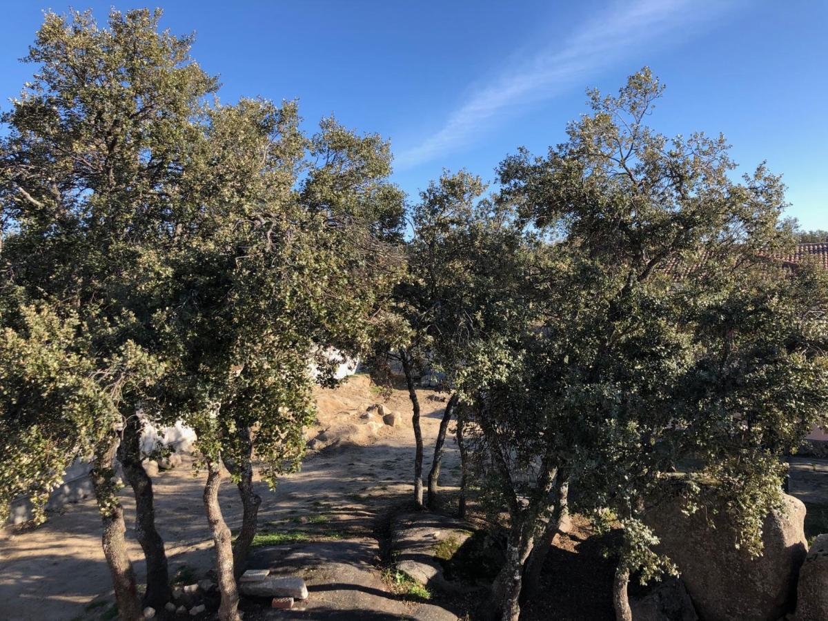 Finca El Olivo Ituero y Lama Dış mekan fotoğraf